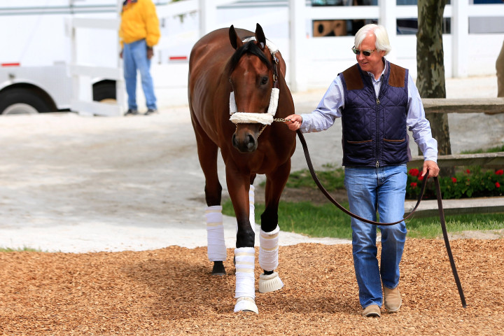 BALTIMORE, MD - MAY 13:  Trainer Bob Baffert walks Kentucky Derby winner American Pharoah to the barn after arriving in preparation for the 140th Preakness Stakes at Pimlico Race Course on May 13, 2015 in Baltimore, Maryland.  (Photo by Rob Carr/Getty Images)
